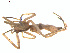  ( - BIOUG01967-B09)  @12 [ ] Copyright  G. Blagoev 2012 Unspecified