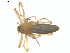  ( - BIOUG01967-C08)  @12 [ ] Copyright  G. Blagoev 2012 Unspecified