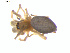  ( - BIOUG01967-C12)  @12 [ ] Copyright  G. Blagoev 2012 Unspecified