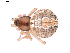  ( - BIOUG01967-H05)  @12 [ ] Copyright  G. Blagoev 2012 Unspecified