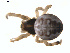  ( - BIOUG01577-A02)  @12 [ ] Copyright  G. Blagoev 2011 Unspecified