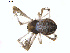  ( - BIOUG01577-A12)  @12 [ ] Copyright  G. Blagoev 2011 Unspecified