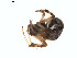  ( - BIOUG01577-B01)  @12 [ ] Copyright  G. Blagoev 2011 Unspecified