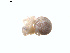  ( - BIOUG01577-B02)  @12 [ ] Copyright  G. Blagoev 2011 Unspecified