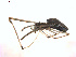  ( - BIOUG01577-B10)  @13 [ ] Copyright  G. Blagoev 2011 Unspecified