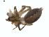  ( - BIOUG01577-C04)  @12 [ ] Copyright  G. Blagoev 2011 Unspecified