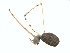  ( - BIOUG01577-D01)  @12 [ ] Copyright  G. Blagoev 2011 Unspecified