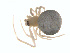  ( - BIOUG01577-E01)  @12 [ ] Copyright  G. Blagoev 2011 Unspecified