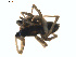  ( - BIOUG01577-F10)  @12 [ ] Copyright  G. Blagoev 2011 Unspecified