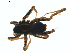  ( - BIOUG01577-G02)  @12 [ ] Copyright  G. Blagoev 2011 Unspecified