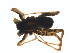  ( - BIOUG01577-G04)  @12 [ ] Copyright  G. Blagoev 2011 Unspecified