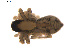  ( - BIOUG01578-B01)  @12 [ ] Copyright  G. Blagoev 2011 Unspecified