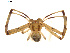  ( - BIOUG01578-C05)  @12 [ ] Copyright  G. Blagoev 2011 Unspecified