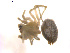  ( - BIOUG01578-C07)  @12 [ ] Copyright  G. Blagoev 2011 Unspecified