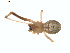  ( - BIOUG01578-H04)  @12 [ ] Copyright  G. Blagoev 2011 Unspecified