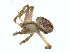 ( - BIOUG01636-A07)  @13 [ ] Copyright  G. Blagoev 2011 Unspecified