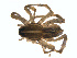 ( - BIOUG01636-C04)  @12 [ ] Copyright  G. Blagoev 2011 Unspecified