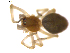  ( - BIOUG01636-C09)  @12 [ ] Copyright  G. Blagoev 2011 Unspecified
