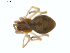  ( - BIOUG01636-D05)  @12 [ ] Copyright  G. Blagoev 2011 Unspecified