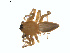  ( - BIOUG01636-E02)  @13 [ ] Copyright  G. Blagoev 2011 Unspecified