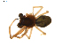  ( - BIOUG01636-E05)  @12 [ ] Copyright  G. Blagoev 2011 Unspecified