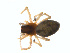  ( - BIOUG01636-F02)  @12 [ ] Copyright  G. Blagoev 2011 Unspecified
