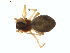  ( - BIOUG01636-F03)  @12 [ ] Copyright  G. Blagoev 2011 Unspecified