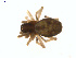  ( - BIOUG01636-F05)  @12 [ ] Copyright  G. Blagoev 2011 Unspecified