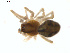  ( - BIOUG01636-F07)  @12 [ ] Copyright  G. Blagoev 2011 Unspecified