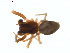  ( - BIOUG01636-G10)  @12 [ ] Copyright  G. Blagoev 2011 Unspecified