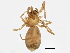  ( - BIOUG01960-G09)  @12 [ ] CreativeCommons - Attribution (2012) CBG Photography Group Centre for Biodiversity Genomics