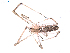  ( - BIOUG01969-A06)  @13 [ ] Copyright  G. Blagoev 2012 Unspecified