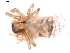  ( - BIOUG01969-C02)  @12 [ ] Copyright  G. Blagoev 2012 Unspecified