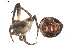  ( - BIOUG00615-D11)  @12 [ ] Copyright  G. Blagoev 2010 Unspecified