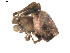  ( - BIOUG00615-D12)  @12 [ ] Copyright  G. Blagoev 2010 Unspecified