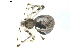  ( - BIOUG00622-E01)  @12 [ ] Copyright  G. Blagoev 2010 Unspecified