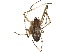  ( - BIOUG18634-F12)  @13 [ ] CreativeCommons - Attribution (2015) CBG Photography Group Centre for Biodiversity Genomics