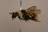 ( - 1552A08)  @11 [ ] Copyright (2010) Paul Williams, 2010 Unspecified