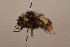  ( - 1552D08)  @11 [ ] Copyright (2010) Paul Williams, 2010 Unspecified