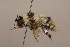  ( - 1552D11)  @11 [ ] Copyright (2010) Paul Williams, 2010 Unspecified