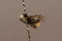  ( - 1552H06)  @12 [ ] Copyright (2010) Paul Williams, 2010 Unspecified