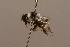 ( - 1552H07)  @11 [ ] Copyright (2010) Paul Williams, 2010 Unspecified