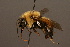  ( - 0138-CHN)  @14 [ ] Unspecified (default): All Rights Reserved  Unspecified Unspecified