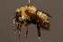  ( - 0140-CHN)  @14 [ ] Unspecified (default): All Rights Reserved  Unspecified Unspecified