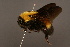  ( - 0142-IRN)  @13 [ ] Unspecified (default): All Rights Reserved  Unspecified Unspecified