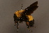  ( - 0143-IRN)  @13 [ ] Unspecified (default): All Rights Reserved  Unspecified Unspecified