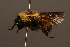  ( - 0144-IRN)  @13 [ ] Unspecified (default): All Rights Reserved  Unspecified Unspecified