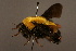  ( - 0146-IRN)  @13 [ ] Unspecified (default): All Rights Reserved  Unspecified Unspecified