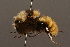  ( - 0235-CAN)  @12 [ ] Unspecified (default): All Rights Reserved  Unspecified Unspecified