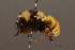 ( - 0236-CAN)  @13 [ ] Unspecified (default): All Rights Reserved  Unspecified Unspecified